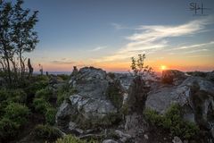 Auf dem Acker im Harz