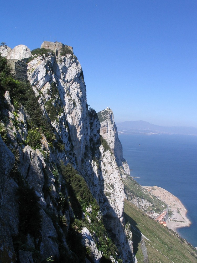 Auf dem Affenfelsen