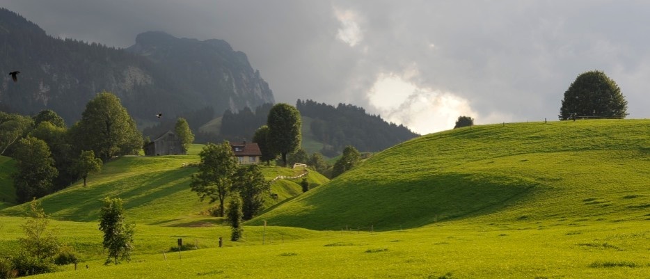 Auf dem Alm