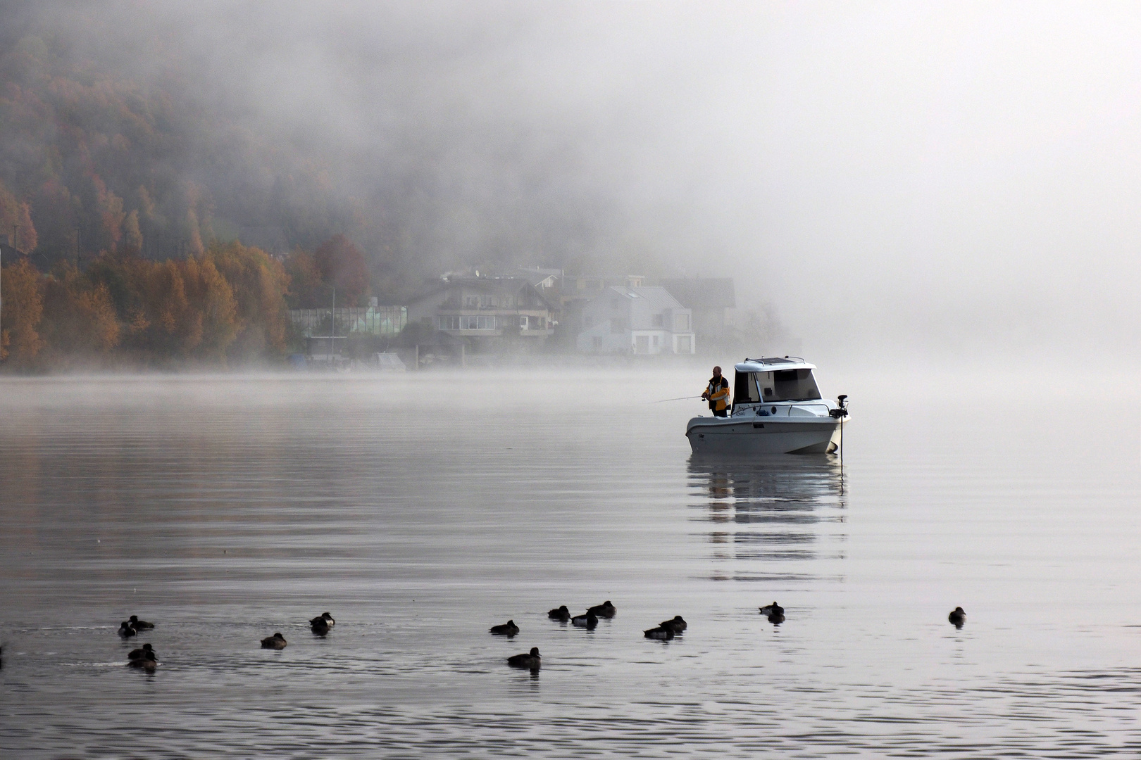 auf dem alpnachersee