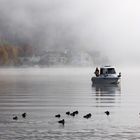 auf dem alpnachersee