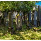 Auf dem alten jüdischen Friedhof