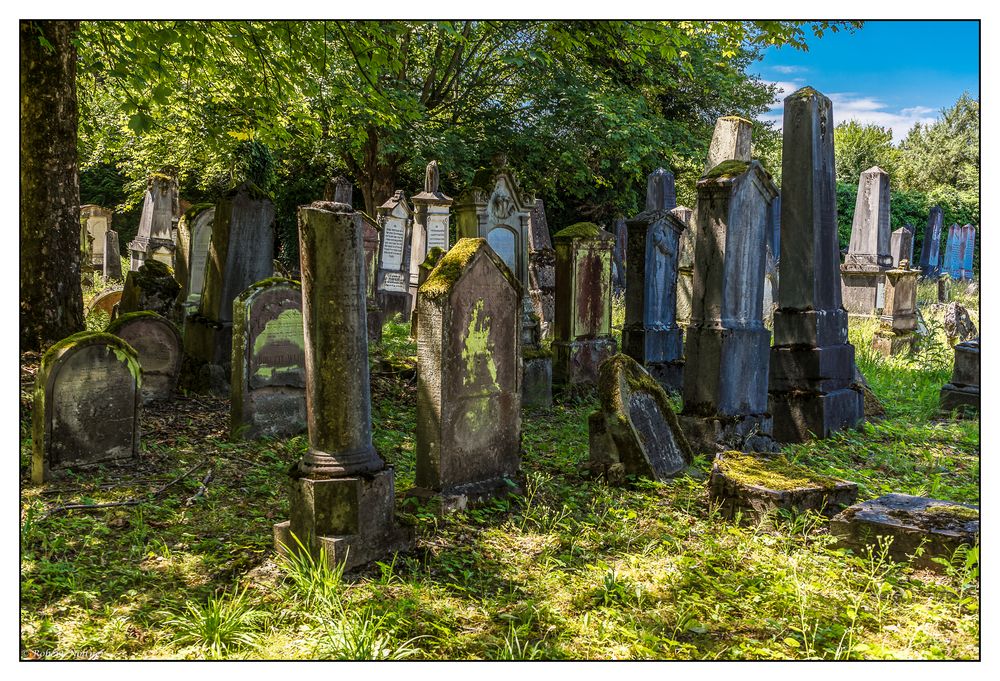 Auf dem alten jüdischen Friedhof