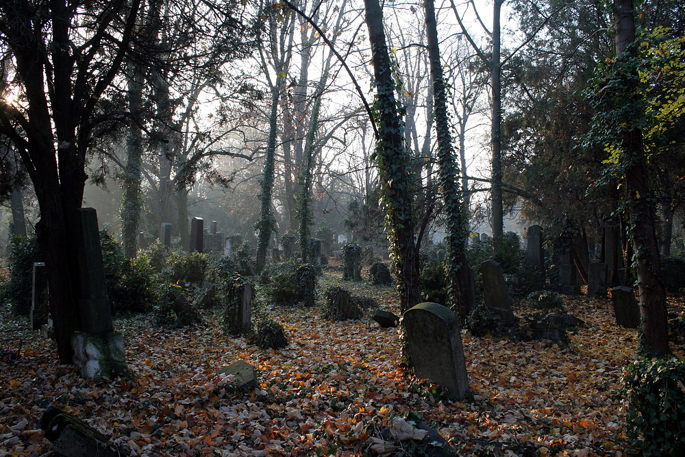 Auf dem alten jüdischen Friedhof am Zentralfriedhof (4)