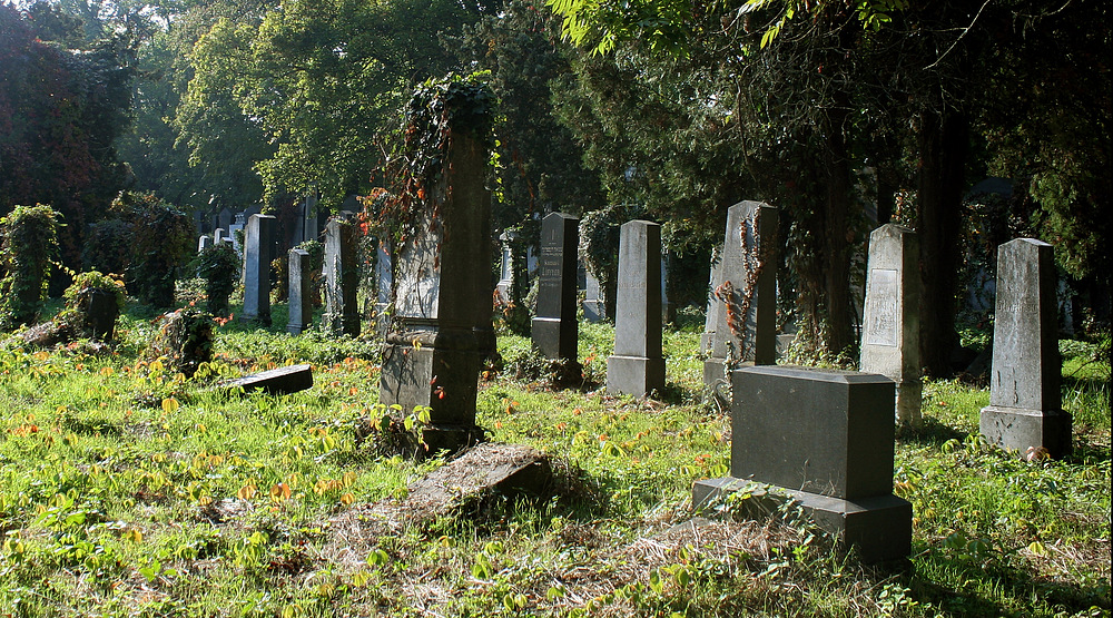 Auf dem alten jüdischen Friedhof am Zentralfriedhof