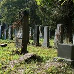 Auf dem alten jüdischen Friedhof am Zentralfriedhof