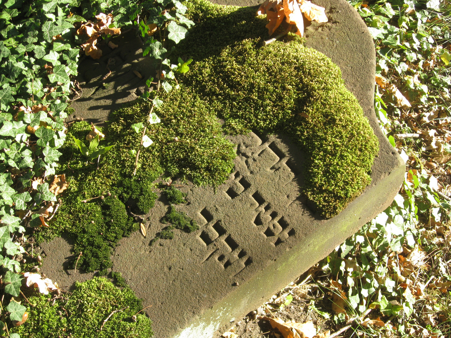 Auf dem Alten Jüdischen Friedhof Kassel 1 | Oktober 2015