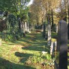 Auf dem Alten Jüdischen Friedhof Kassel 2 | Oktober 2015