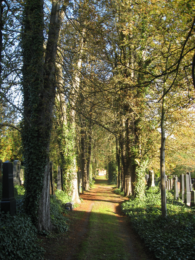Auf dem Alten Jüdischen Friedhof Kassel 3 | Oktober 2015