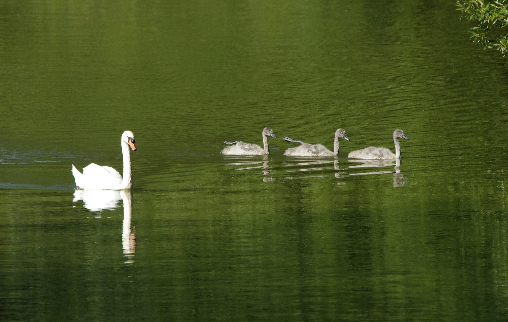 ...auf dem alten Neckar