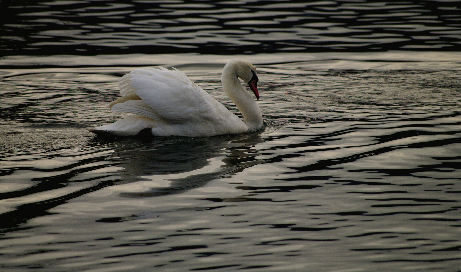 ..auf dem alten Neckar