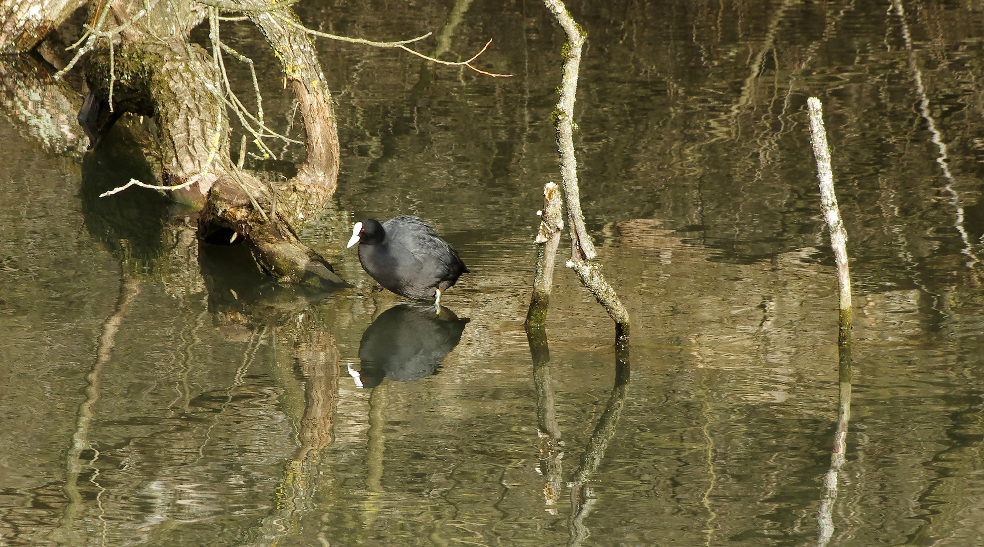 auf dem alten Neckar