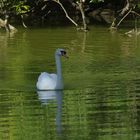 ..auf dem alten Neckar