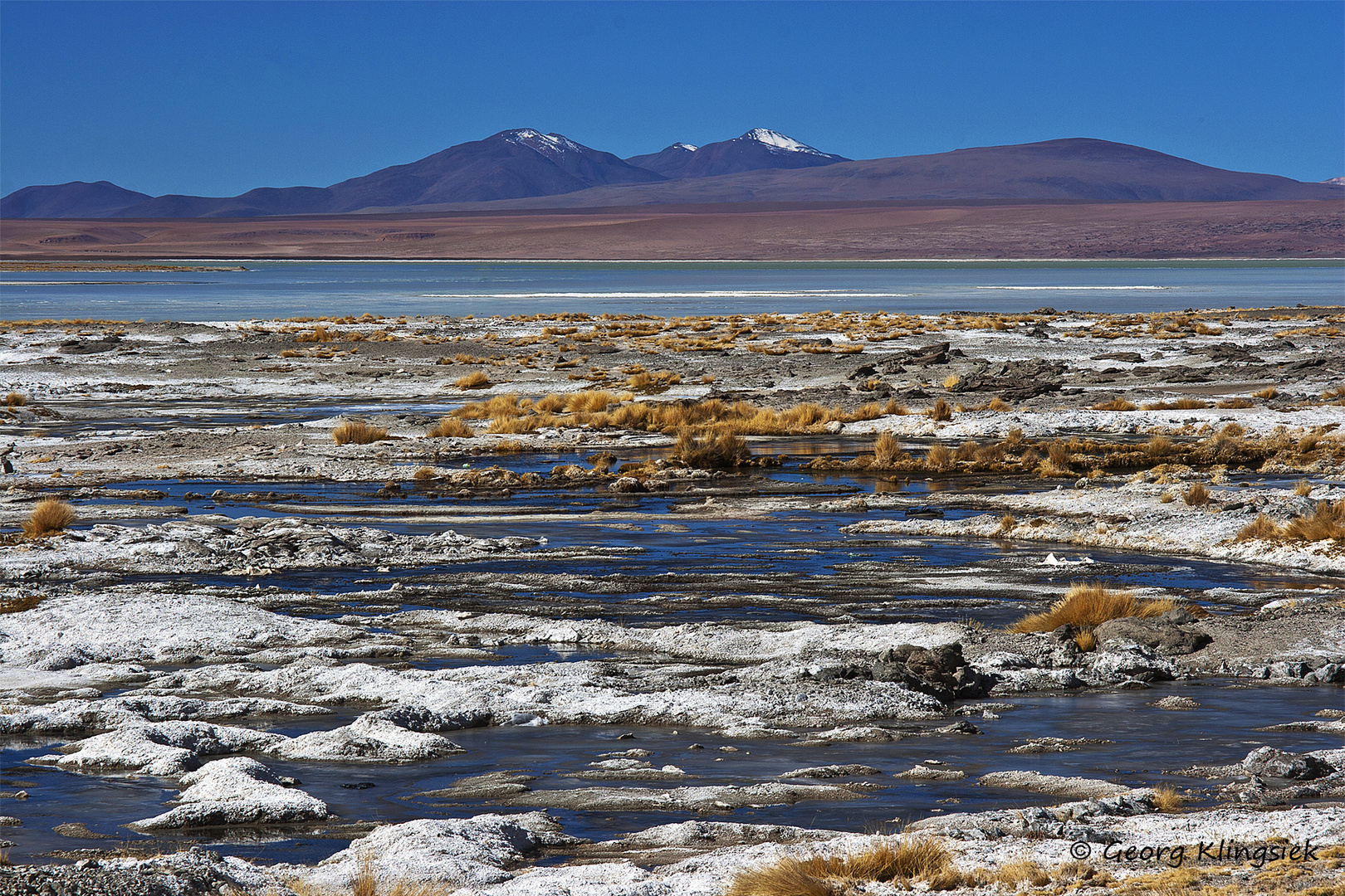 Auf dem Altiplano 1