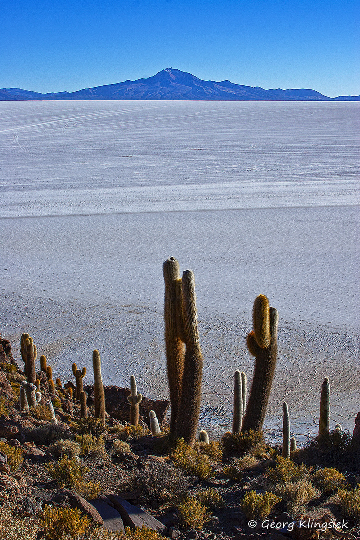 Auf dem Altiplano 36