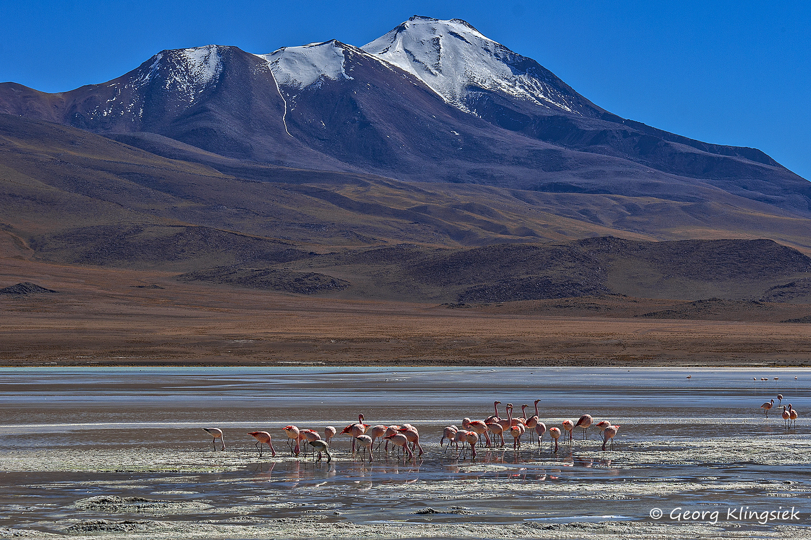 Auf dem Altiplano 6