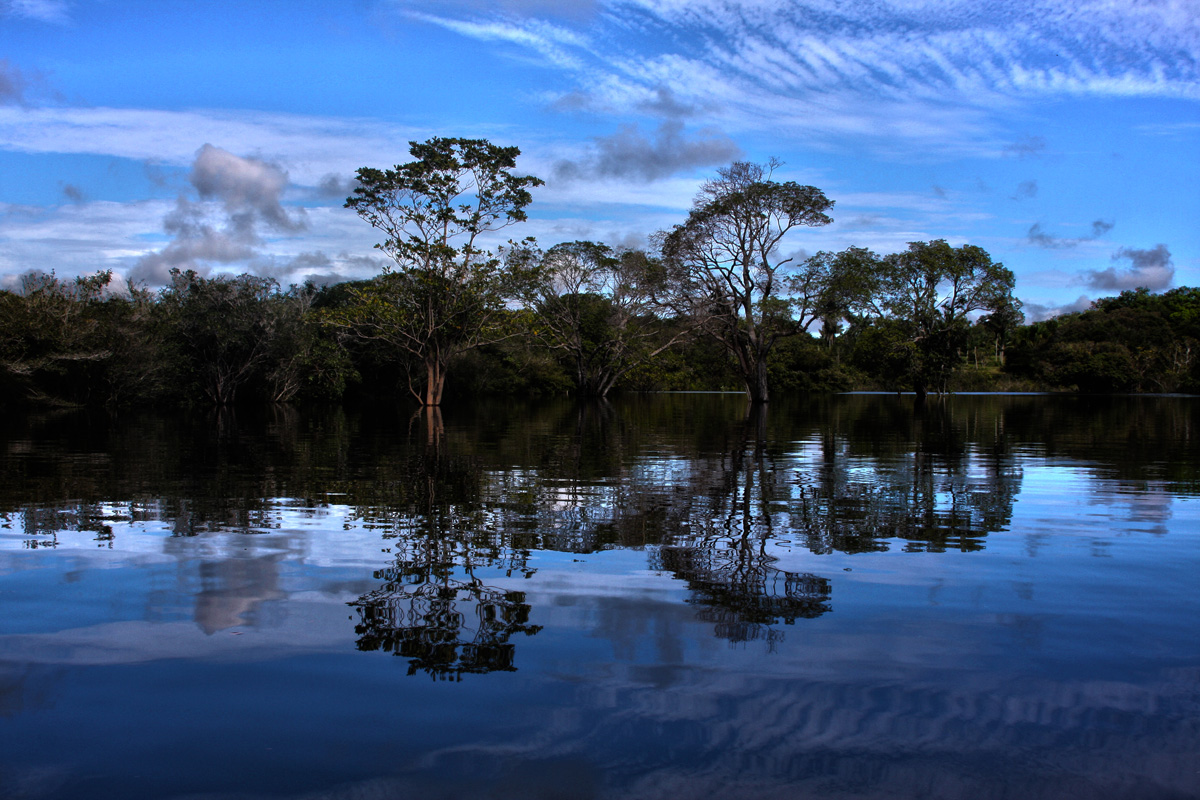 auf dem Amazonas