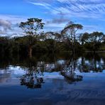 auf dem Amazonas