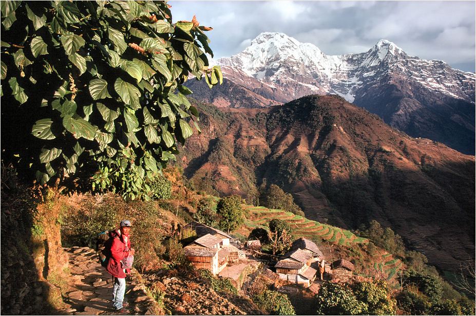 Auf dem Annapurna Sanctuary -Trek