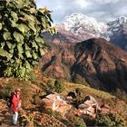 Auf dem Annapurna Sanctuary -Trek