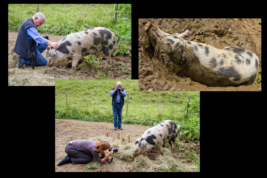 auf dem Arche Bauernhof #01