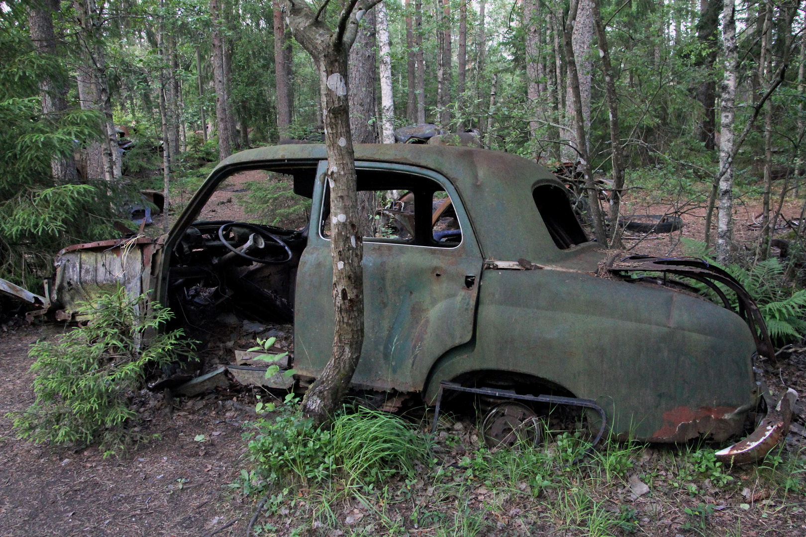 Auf dem Autofriedhof