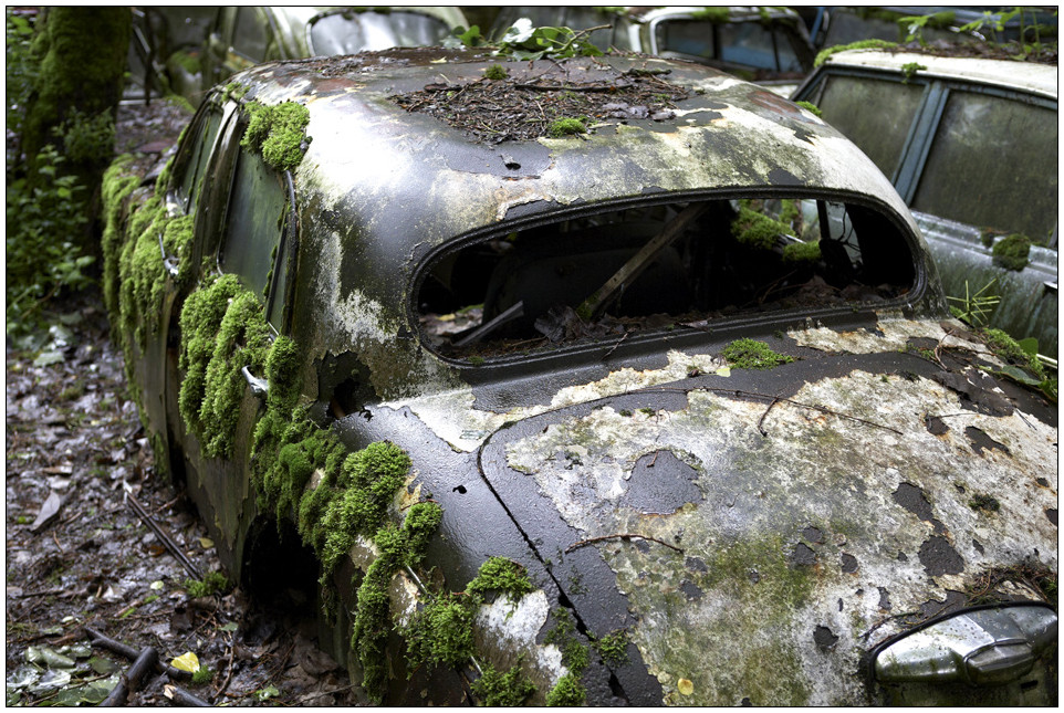 Auf dem Autofriedhof D