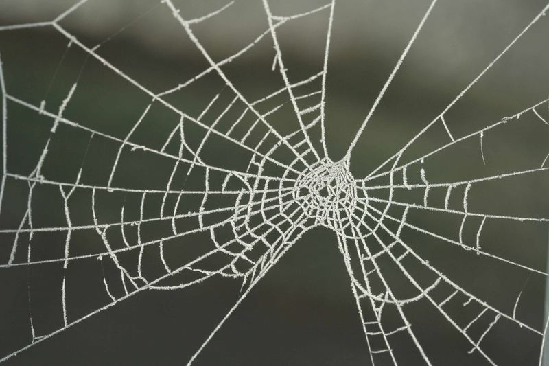 auf dem Balkon da gibts Sachen