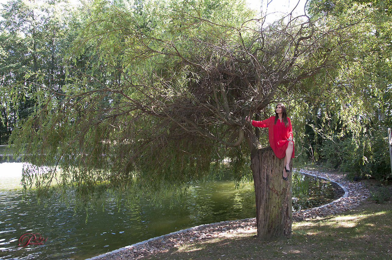 Auf dem Baum