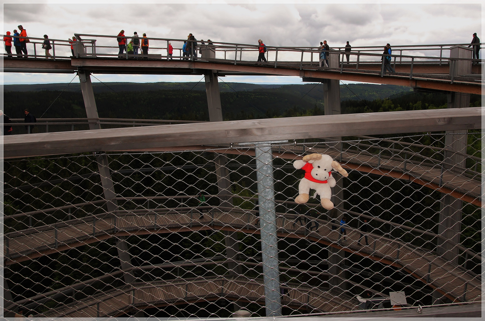 auf dem Baumwipfelpfad