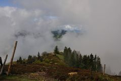 Auf dem Belchen