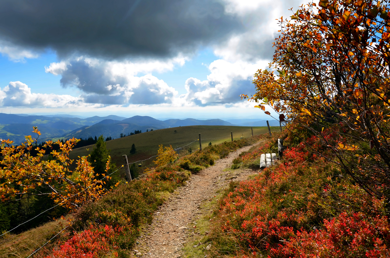 Auf dem Belchen ...