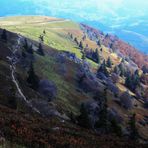 Auf dem Belchenmassiv auf Johann Peter Hebels Spuren (Hochschwarzwald)