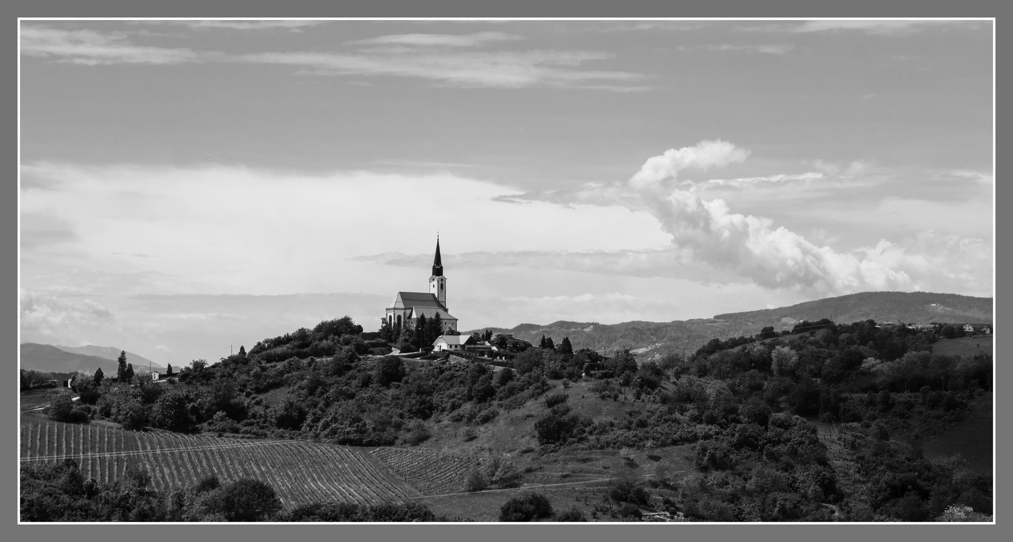 auf dem Berg