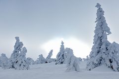 Auf dem Berg