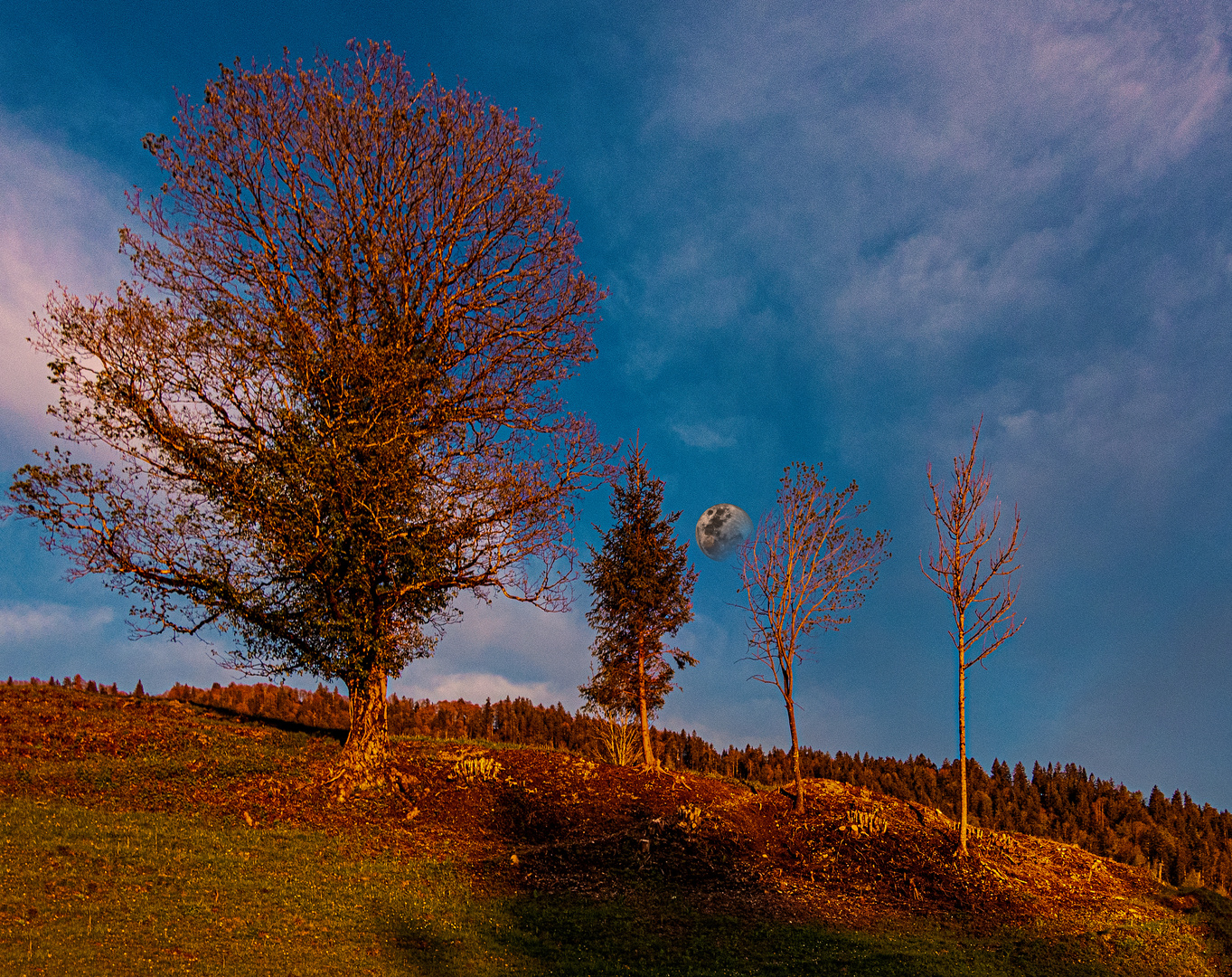 Auf dem Berg (DSCN2589)