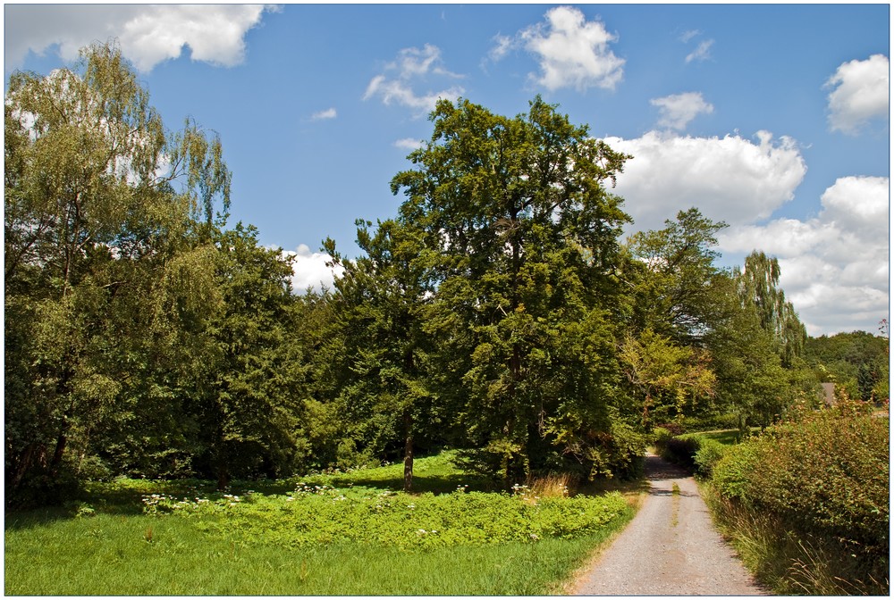 Auf dem Bergbauwanderweg ...