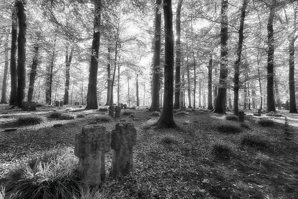 auf dem Bergfriedhof