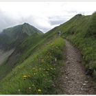 Auf dem Bergweg zurück vom Brienzer Rothorn