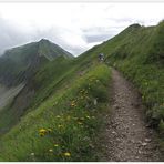 Auf dem Bergweg zurück vom Brienzer Rothorn