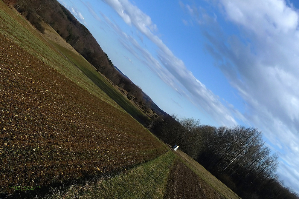 "Auf dem Beutenley Münsingen"