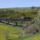 Auf dem Biesenbachviadukt