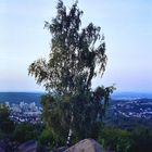 Auf dem Birkenkopf - blaue Stunde