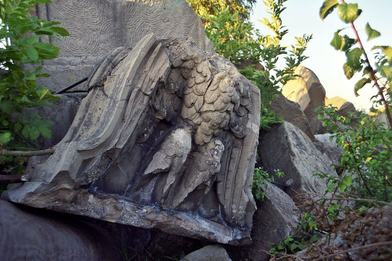 Auf dem Birkenkopf - Der zerbrochene Adler