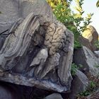 Auf dem Birkenkopf - Der zerbrochene Adler