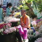 Auf dem Blumengrossmarkt von Kunming