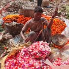 Auf dem Blumenmarkt von Kolkata I