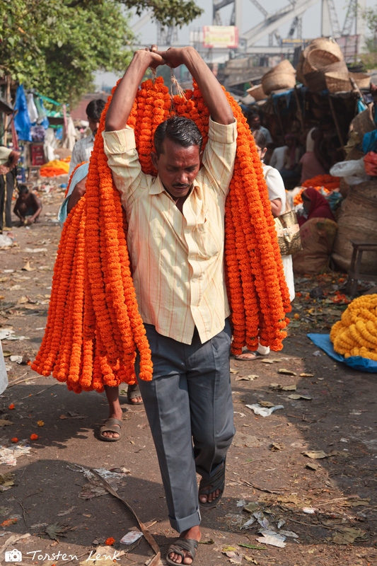 Auf dem Blumenmarkt von Kolkata II