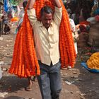 Auf dem Blumenmarkt von Kolkata II