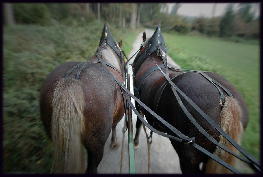 auf dem bock.....